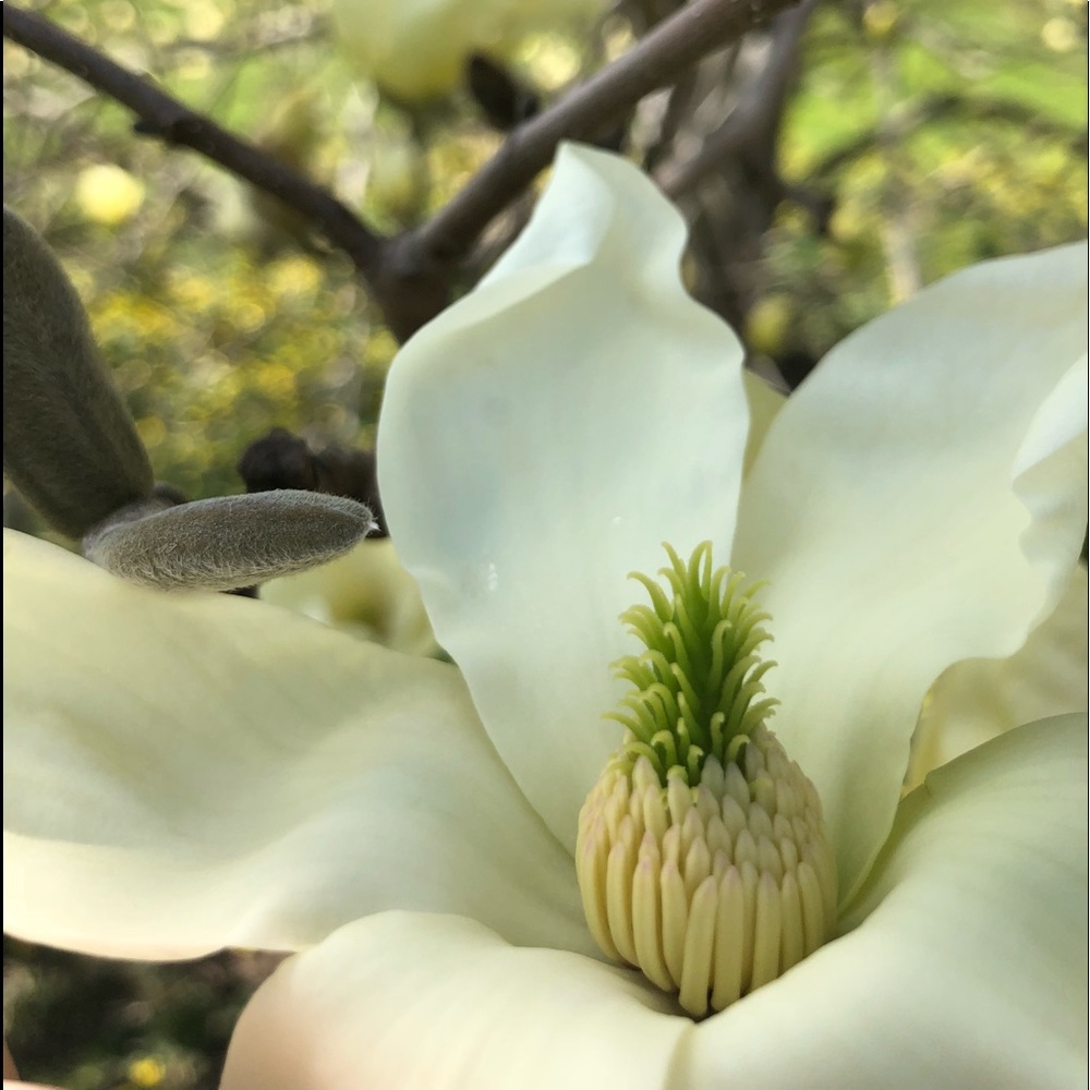 Meet your Posher, Cory